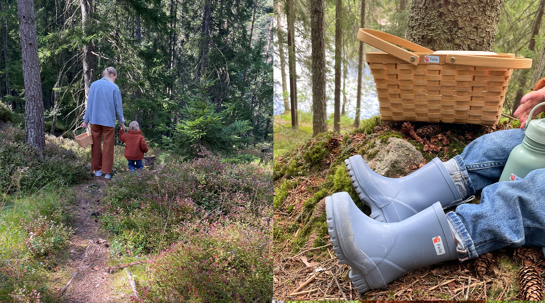 Familie auf Waldspaziergang, Kind sammelt Schätze im Korb