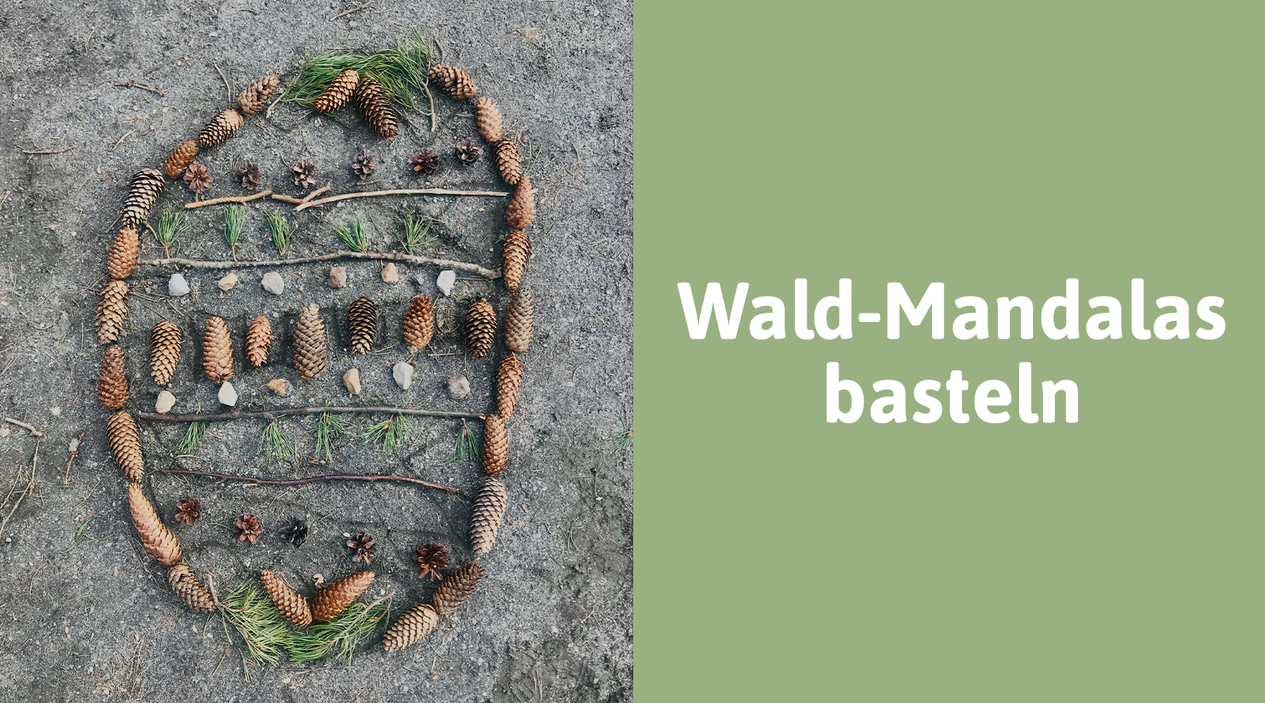 Wald-Mandala gebastelt aus Tannenzapfen, Stöcken und Blättern