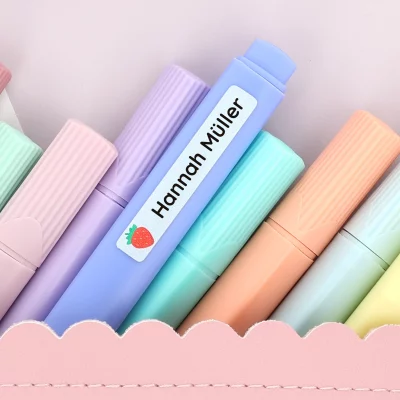 Personalisierte Stifteaufkleber in sanften Farben für Kinder, ideal für die Kennzeichnung von Schulmaterialien und Spielzeug. Die Etiketten tragen den Namen 'Emilia Wagner' und sind dekoriert mit einem hübschen Blumenmuster.